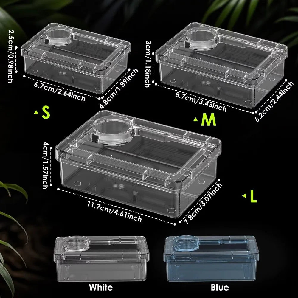 Reptile Lizards Geckos Feeding Bowls Anti - ProPawPet.com