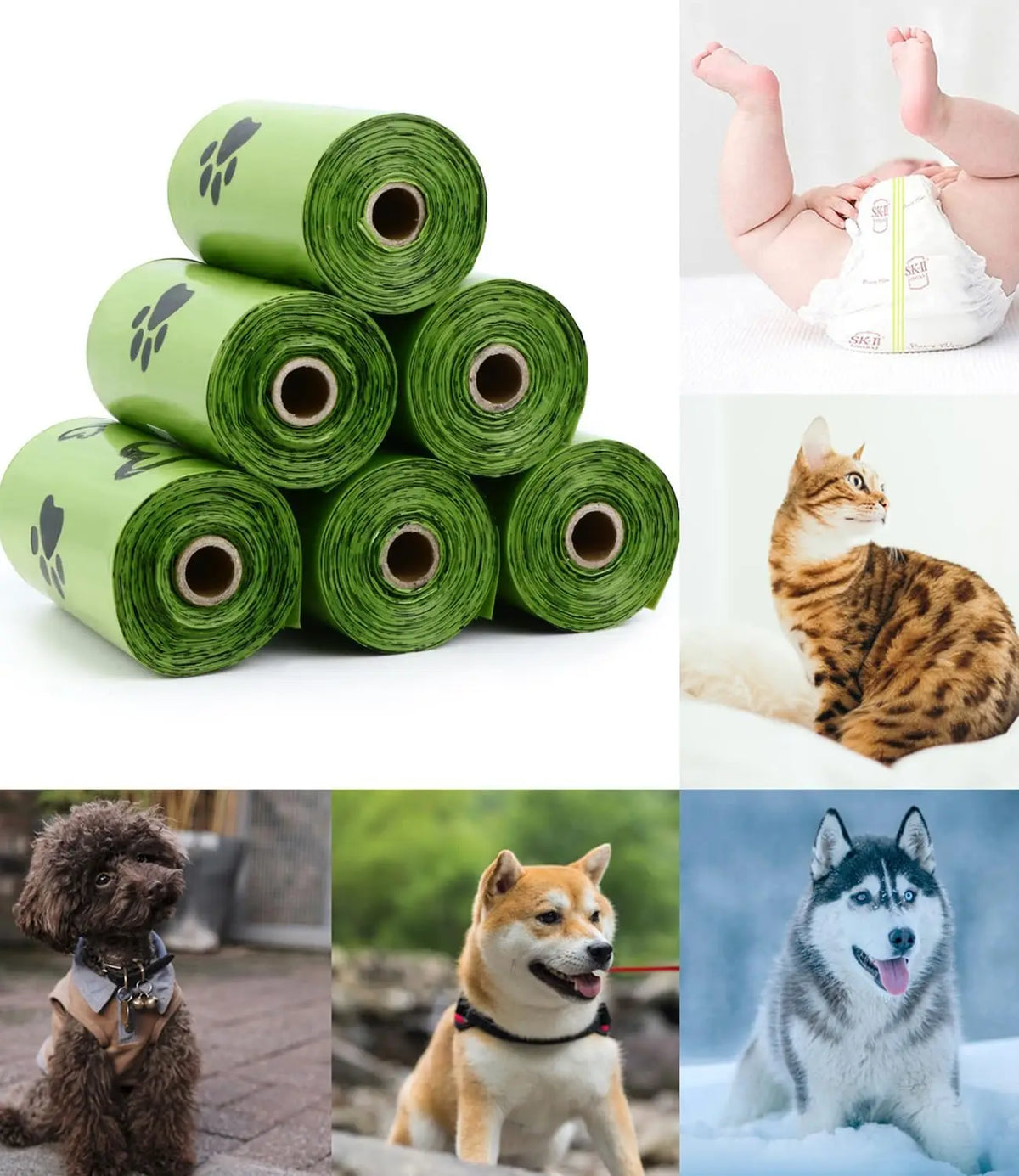 Pet Biodegradable Trash Bag Dog Poop Bags - ProPawPet.com