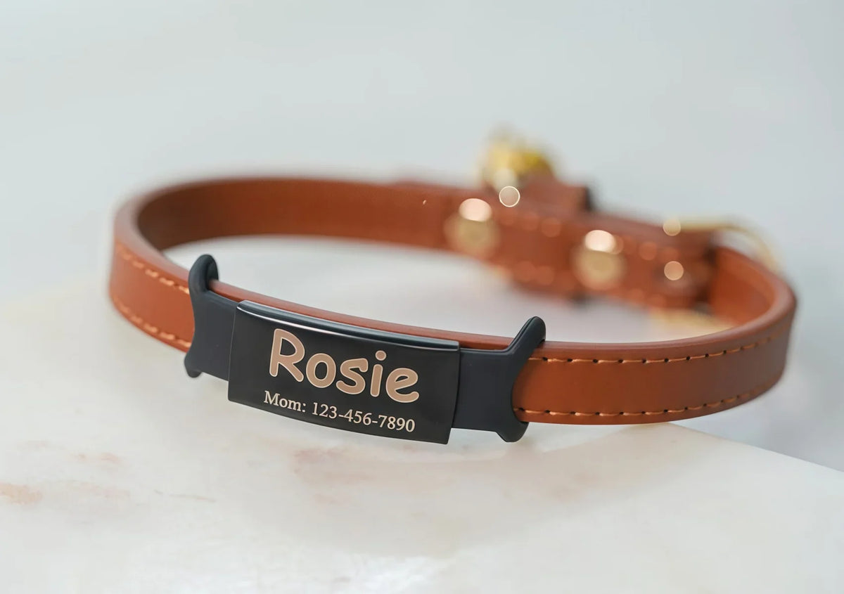 Silent Slide-On Dog Cat Collar Tag - ProPawPet.com