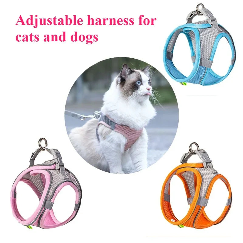 Pet Cat Dog Harness Vest Chest Rope Set - ProPawPet.com