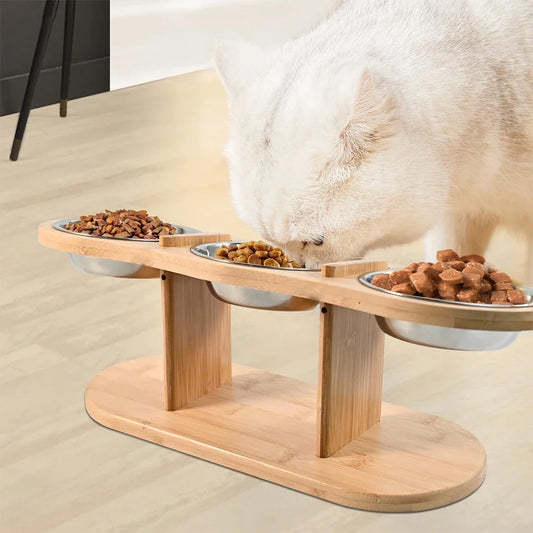 Raised Cat Feeder 3 Bowls in 1 Feeding & - ProPawPet.com