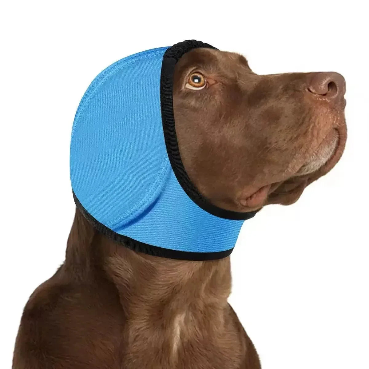 1pc Pet Grooming Hood, Dog Calming Cap Ear - ProPawPet.com