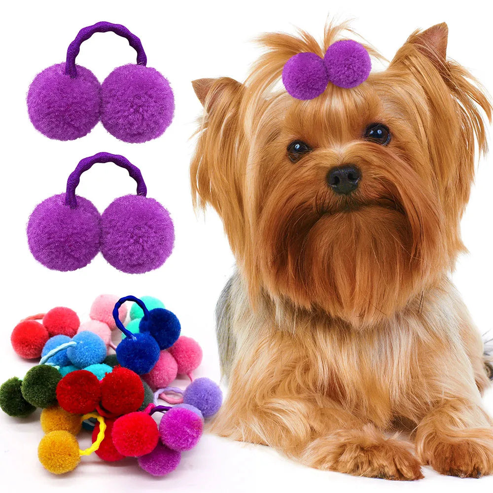 20/30PCS Fashion Pet Hair Accessories - ProPawPet.com
