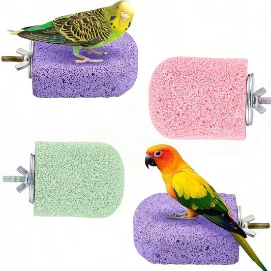 Bird Nail Grinding Perch Resin Parrot - ProPawPet.com