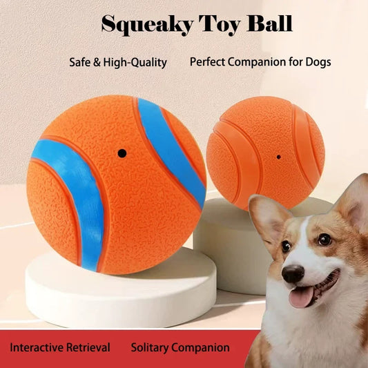 Interactive Durable Squeaky Dog Ball Plaything