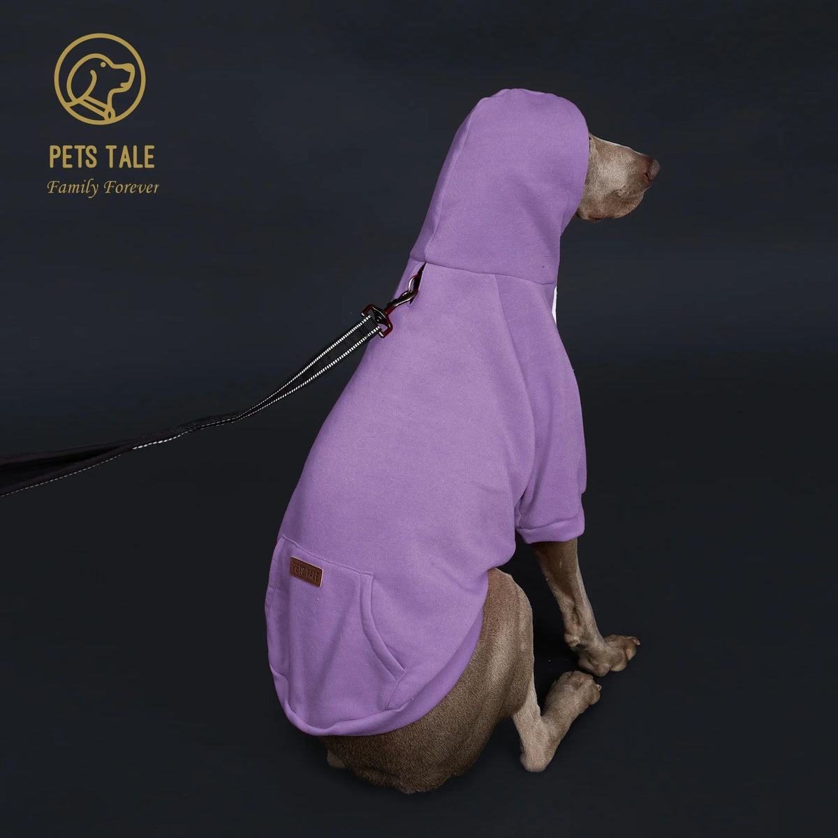 Solid Color Dog Hoodie with Pocket, Leather - ProPawPet.com