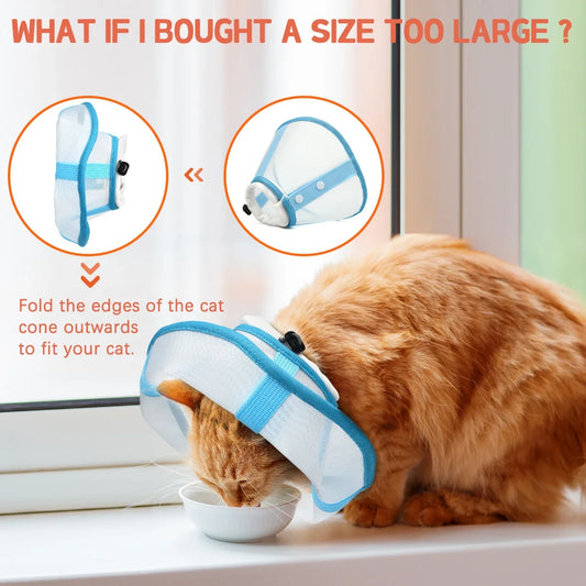 A fashionable contrast color stitching pet - ProPawPet.com