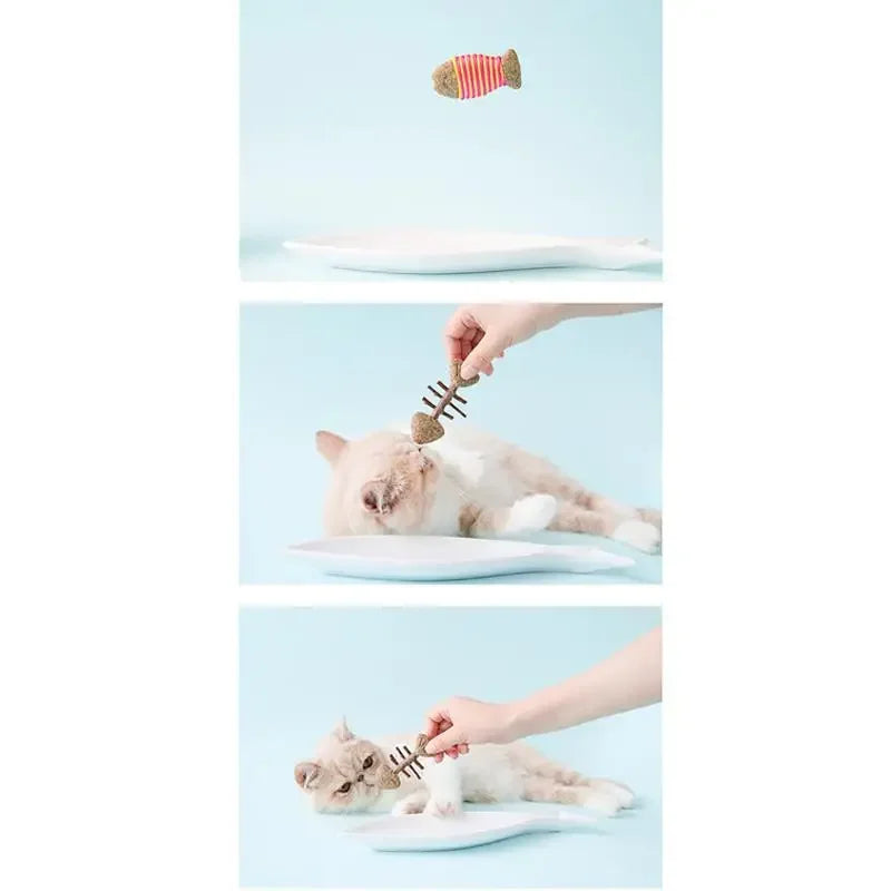 Catnip Toy Creative Fish Mouse Chew Bite - ProPawPet.com