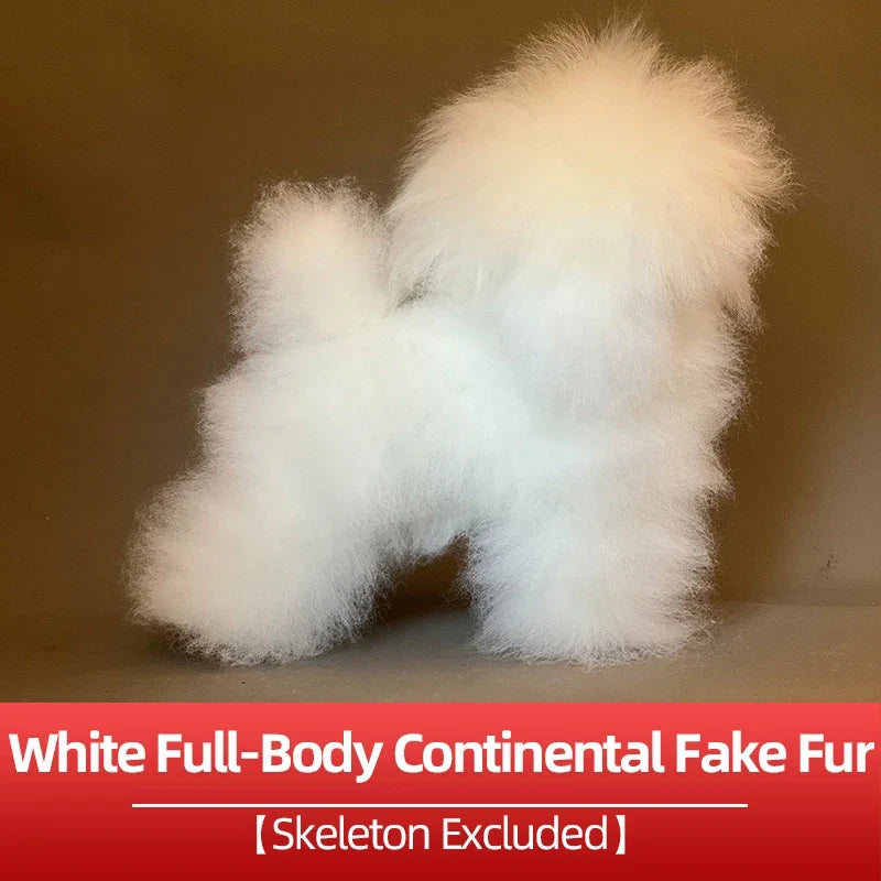 Pet Dog Model Hair Beautician Practice - ProPawPet.com