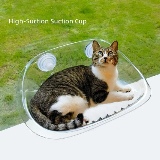 Cute Tail Cat Hammock for Indoor Cats - ProPawPet.com
