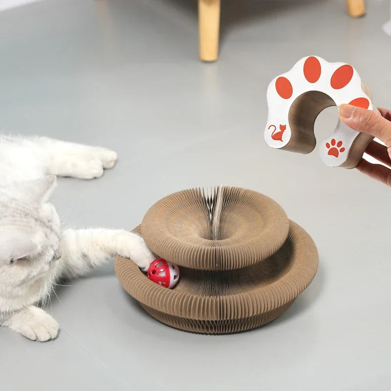 Cat Foldable Magic Organ Cat Scratching - ProPawPet.com