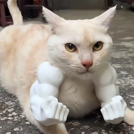 Funny Cat Muscle Arm 3D Printed Invincible - ProPawPet.com