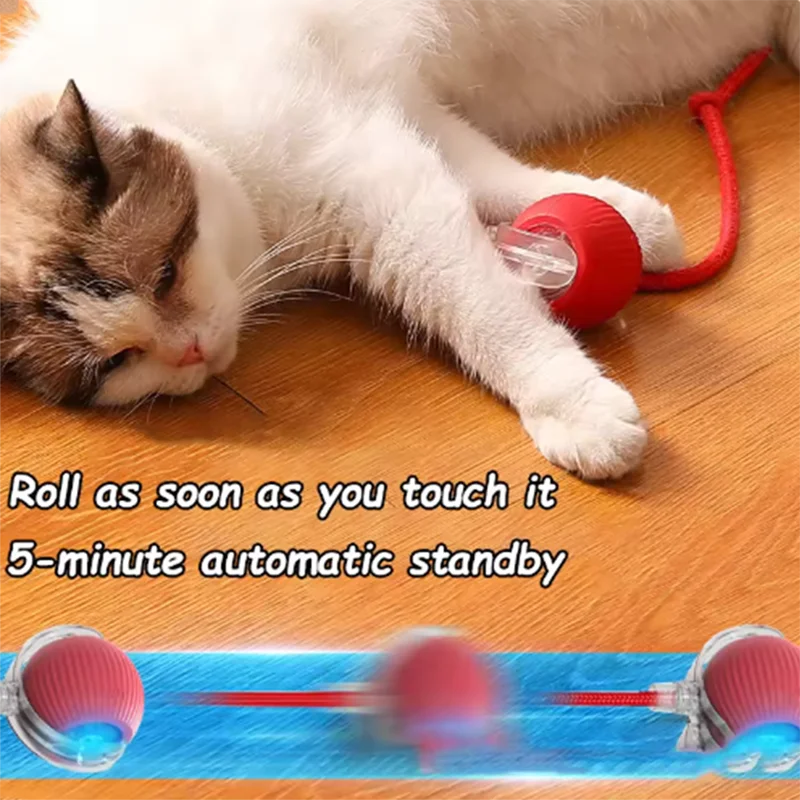 Hot Cat Toys Are Automatically Teasing Cat - ProPawPet.com