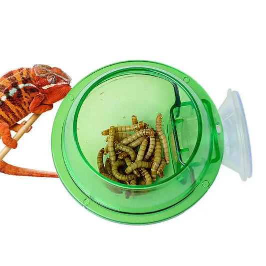 Reptile Pet Feeding Bowl Clear Anti-escape - ProPawPet.com