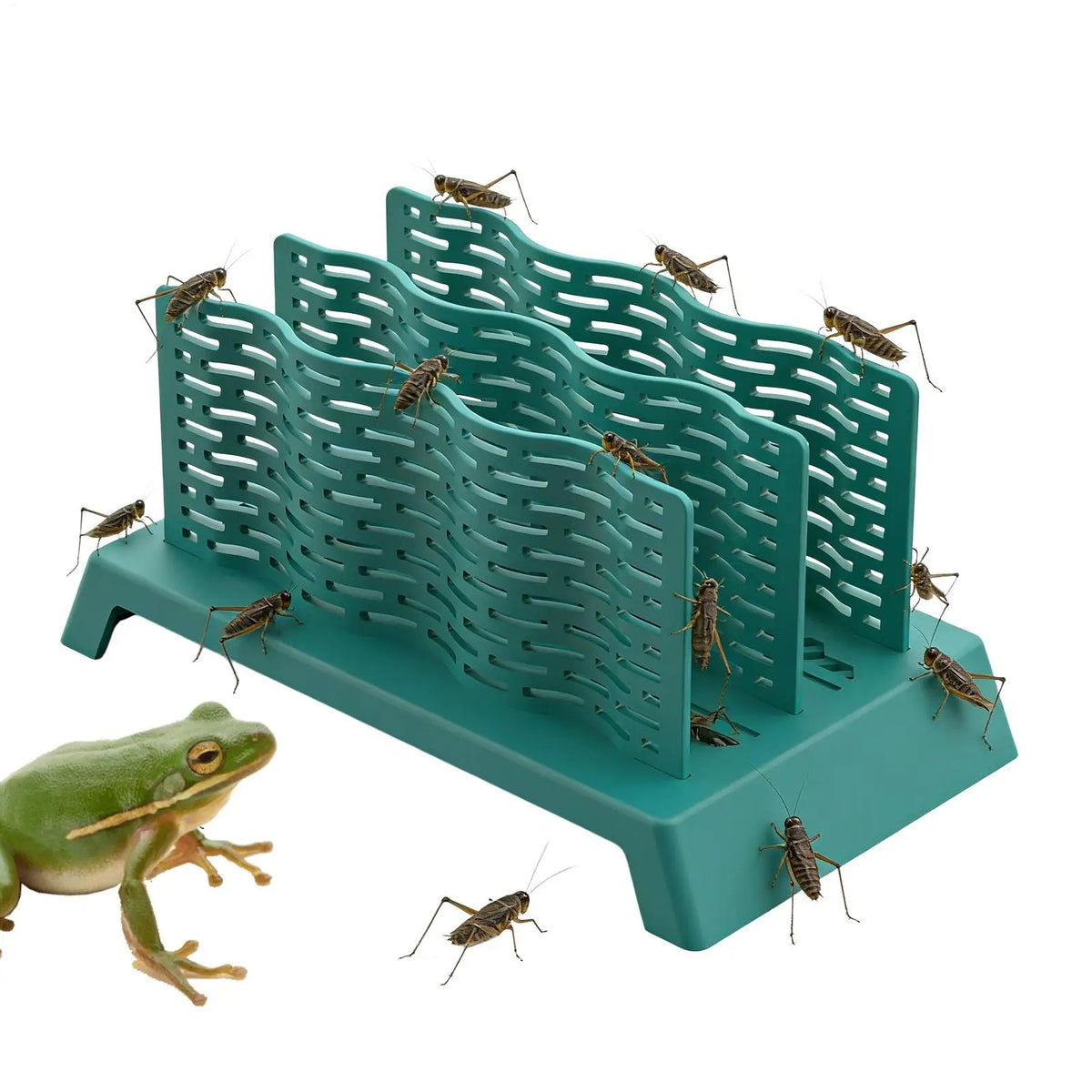 Reptile Feeding Box Anti-Escape Chameleon - ProPawPet.com