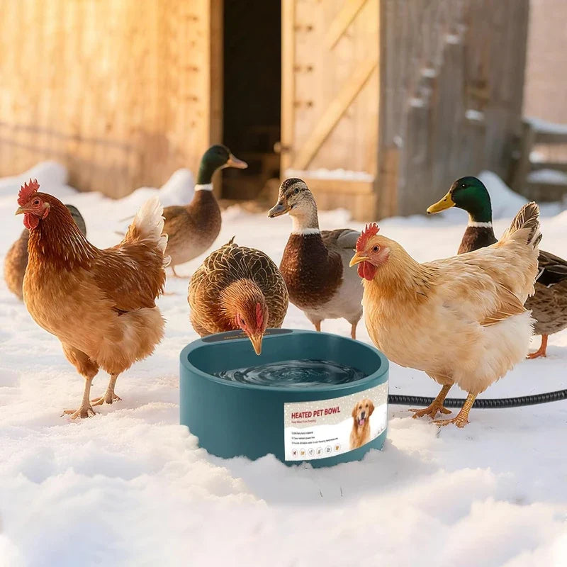 2.2l Heated Dog Dish, Provides No Freeze Water Pet Heater – photo 2