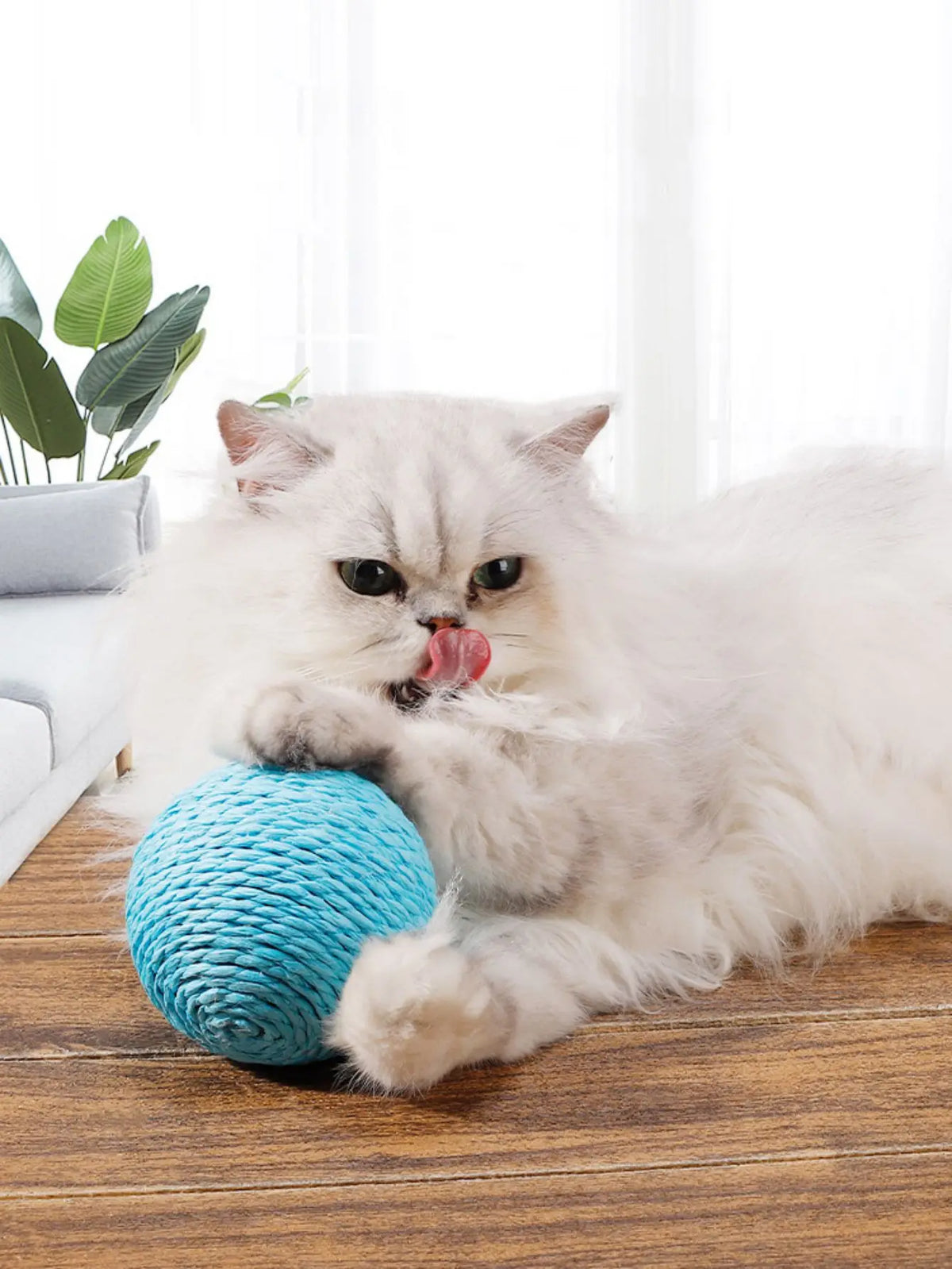 10CM Interactive Sisal Cat Scratching Ball - ProPawPet.com