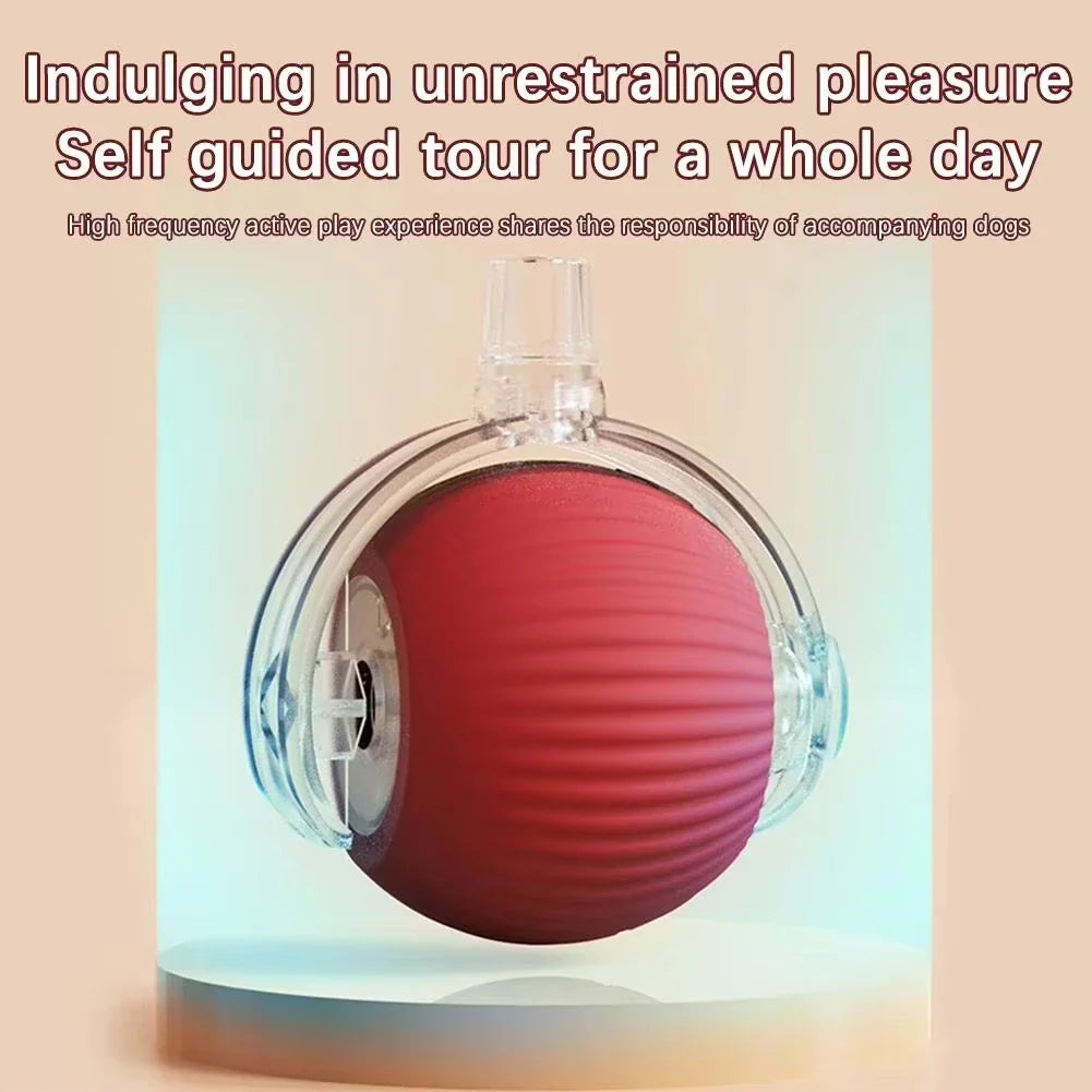 1/2PCS Interactive Cat Toys Ball Auto - ProPawPet.com