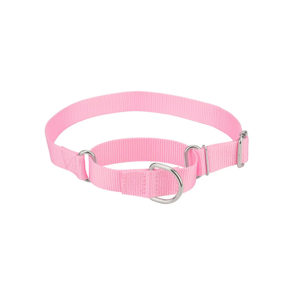 Martingale Collar for Dogs，Dog Collar with - ProPawPet.com