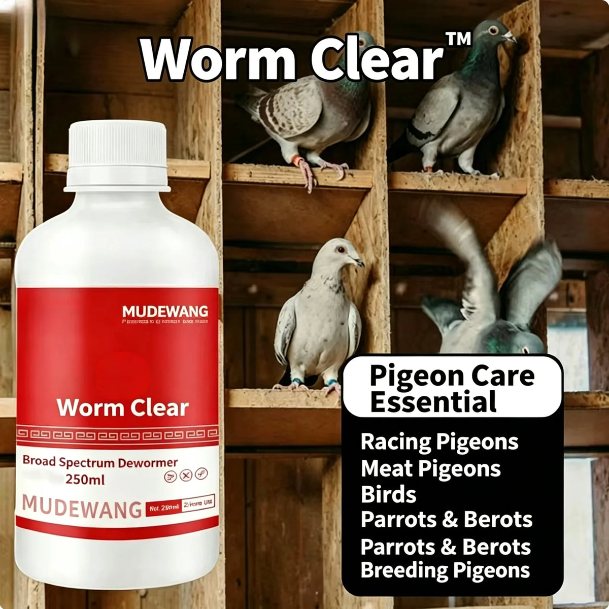 Pigeon Roundworm Tapeworm Nematode Body Worm - ProPawPet.com