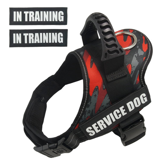 Bulldog Corgi Chihuahua Chest Harness For - ProPawPet.com