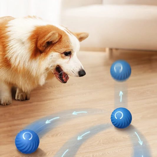 Smart Dog Toys Intelligent Gravity Jump Ball - ProPawPet.com