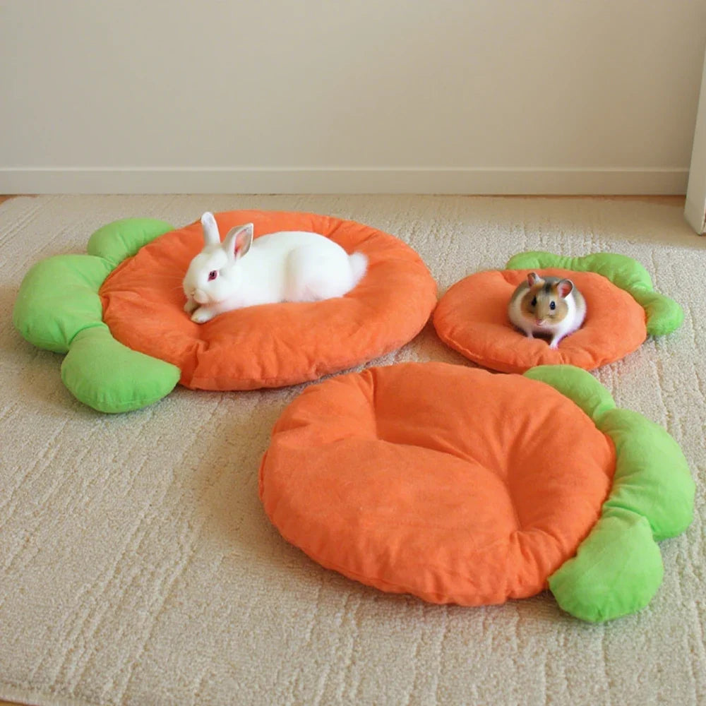 1PC Warm Carrot Shaped Rabbit Mat Soft - ProPawPet.com
