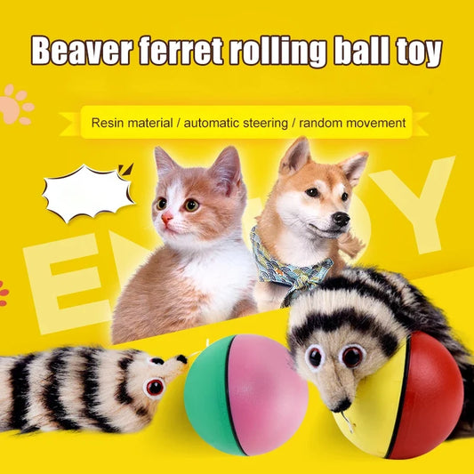 Cat Interactive Ball Toys Training Beaver - ProPawPet.com