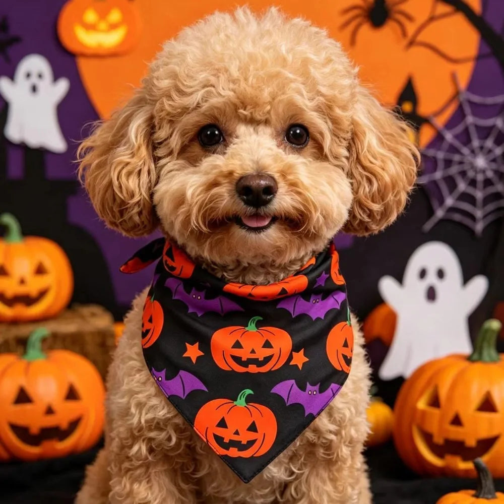 Polyester Pet Halloween Bandana Pumpkin - ProPawPet.com