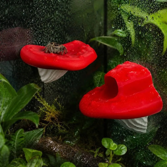 2PCS 3D Printed Jumping Spider - ProPawPet.com