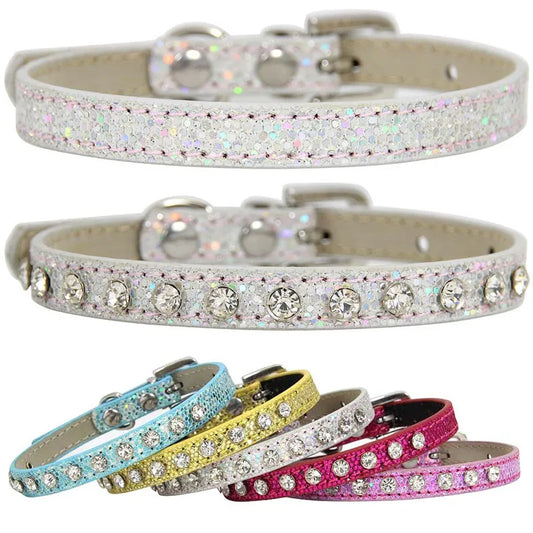 Hot Sale Super Shining Diamond Rhinestone - ProPawPet.com