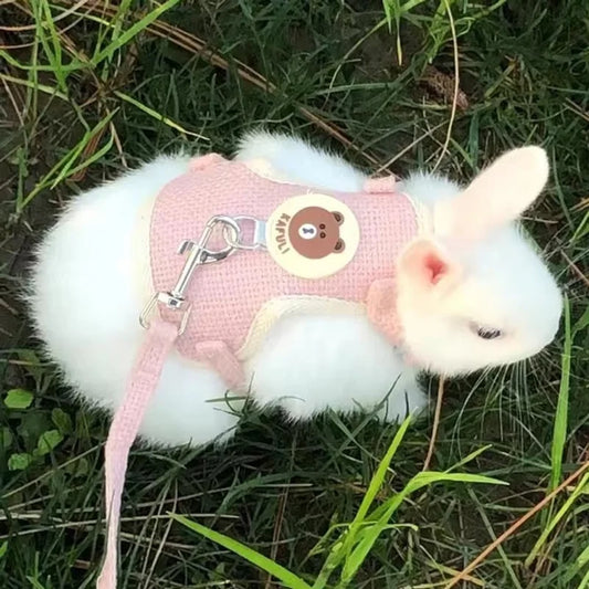 Cartoon Print Cat Rabbit Harness and Leash - ProPawPet.com