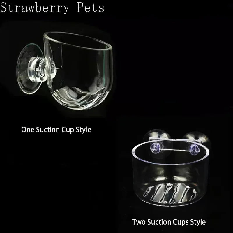 Aquarium Decoration Hanging Fish Tank Mini - ProPawPet.com
