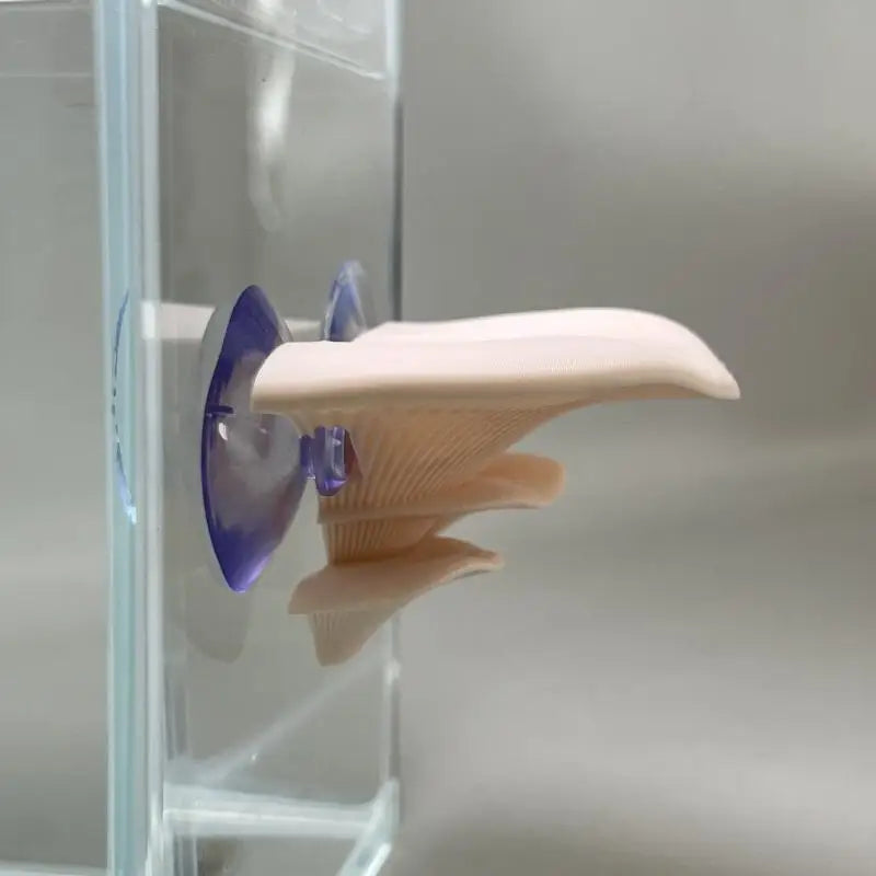 Mushroom Hammock Betta Fish Rest Bed - ProPawPet.com