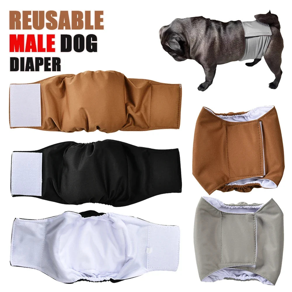 Reusable Male Dog Diaper For Small Medium - ProPawPet.com
