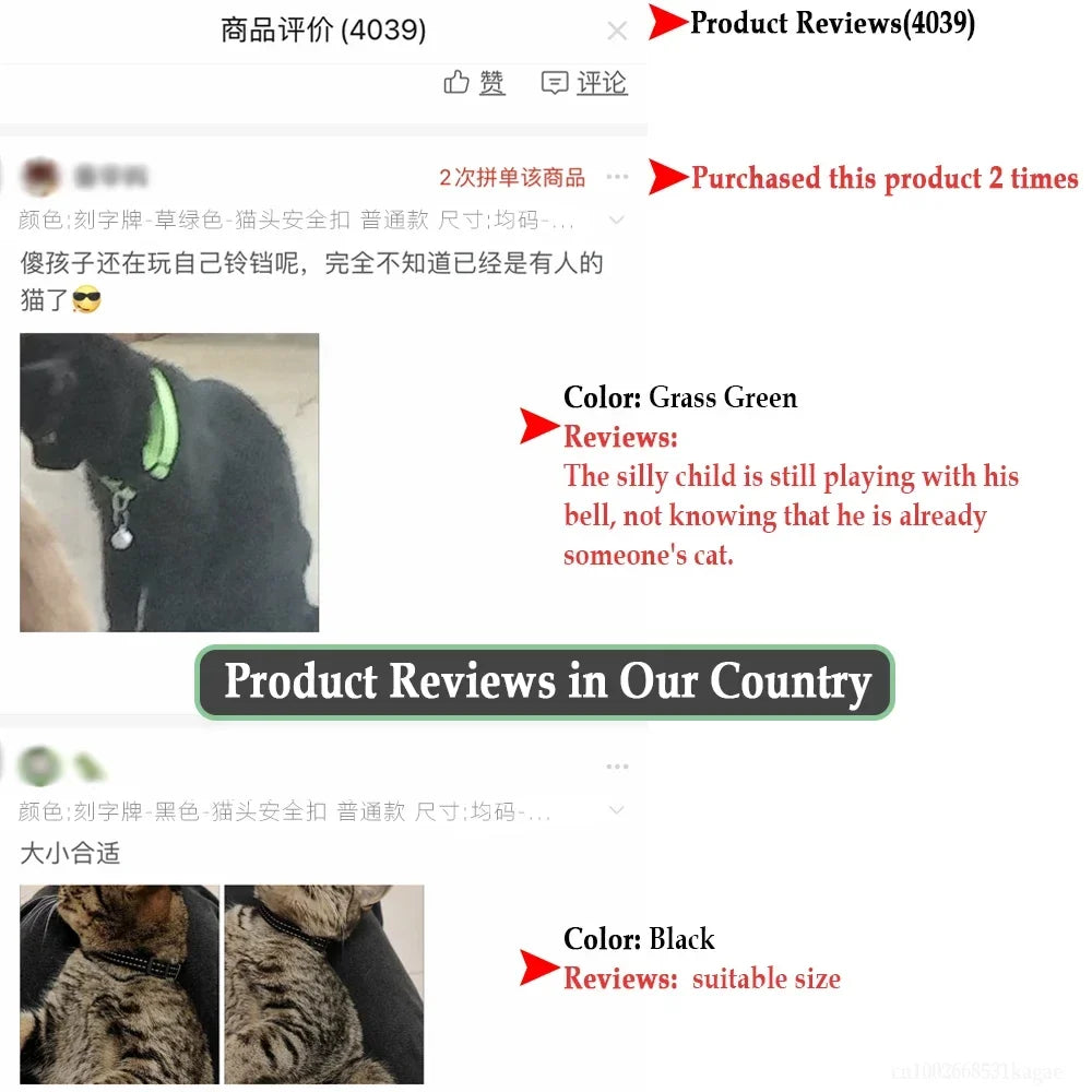 Personalized Cat Collar with Bell Safety - ProPawPet.com