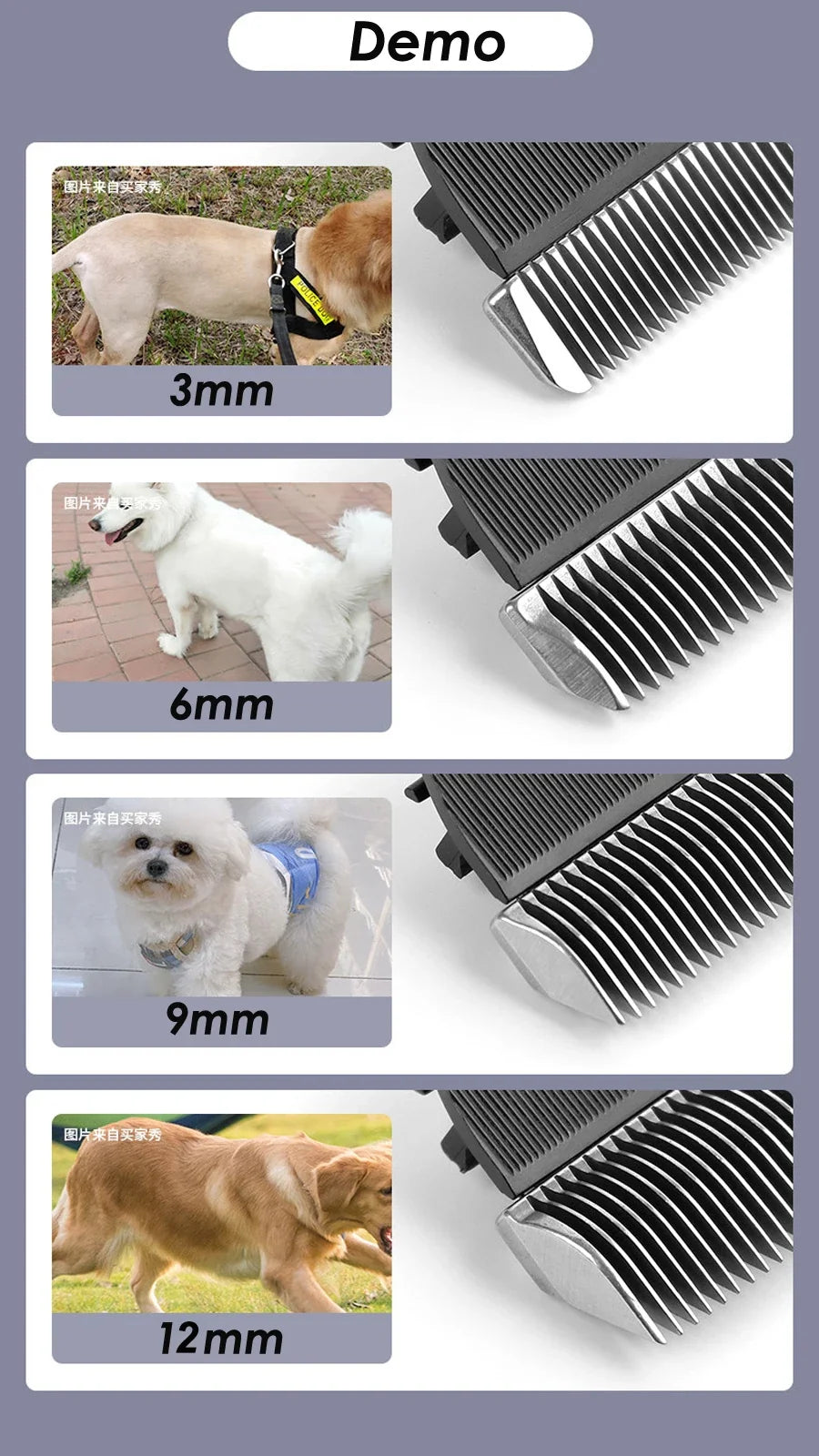 Codos CP9700 Pet Dog Clippers Professional - ProPawPet.com