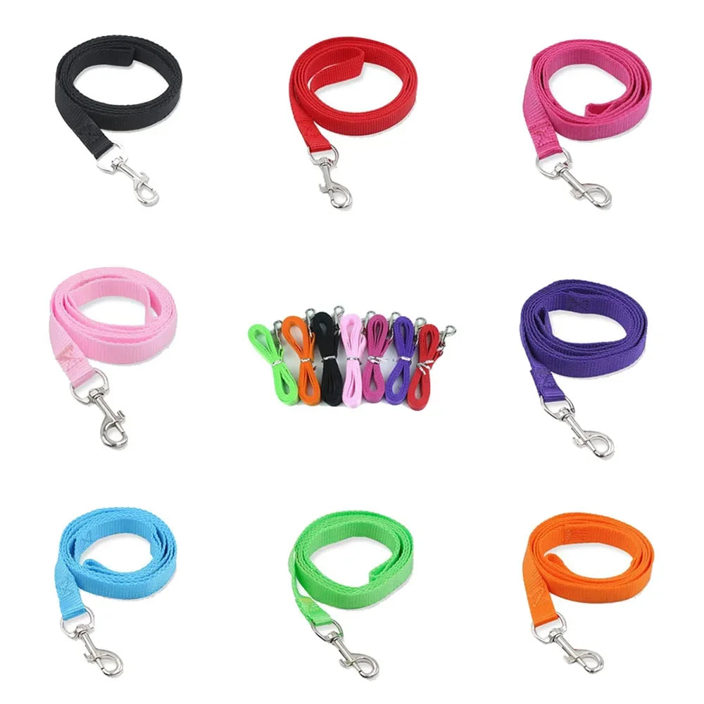 Nylon Dog Leash for Small Dogs and Cats - ProPawPet.com