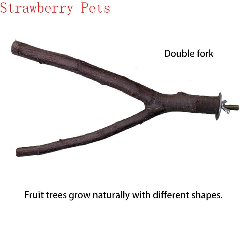 Natural Wood Pet Parrot Raw Wood Fork Tree - ProPawPet.com