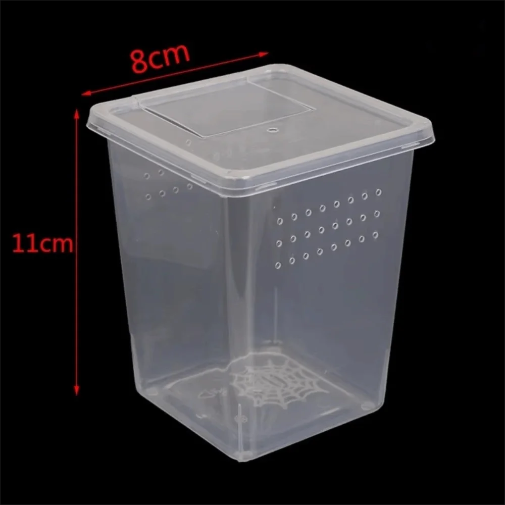Clear Plastic Reptile Living Box Insect Rearing Food Feeding – 3 Colors