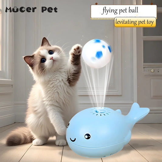 Electric Whale Floating Ball Cat Toy | - ProPawPet.com
