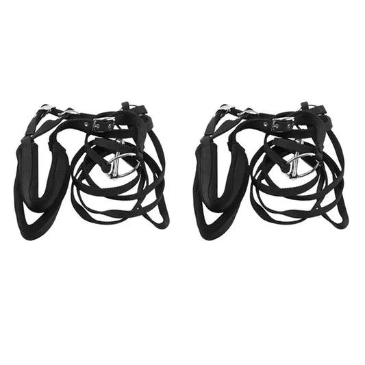 RTENTE-2X Adjustable Horse Riding Equipment - ProPawPet.com