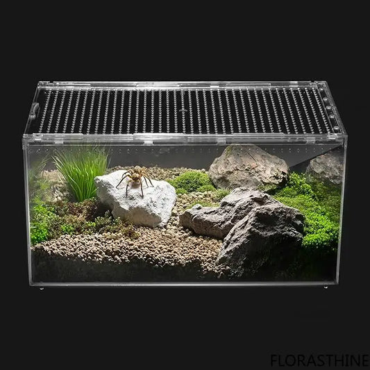 Reptile PC Terrarium, Tarantula Enclosure, - ProPawPet.com