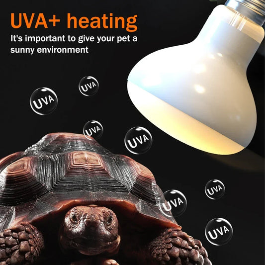 1Pc 25-100W Reptile Heat Lamps UVA Daylight - ProPawPet.com