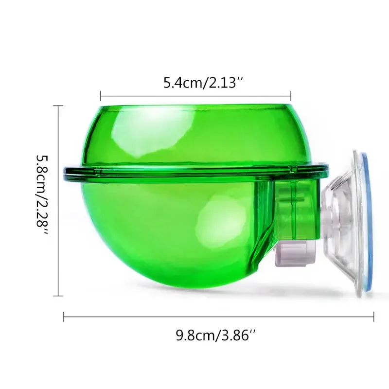 Reptile Pet Feeding Bowl Clear Anti-escape - ProPawPet.com