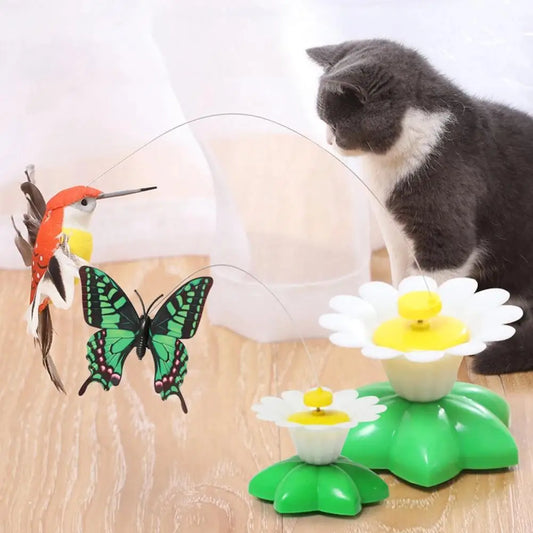 Rotating Electric Butterfly, Hummingbird And - ProPawPet.com
