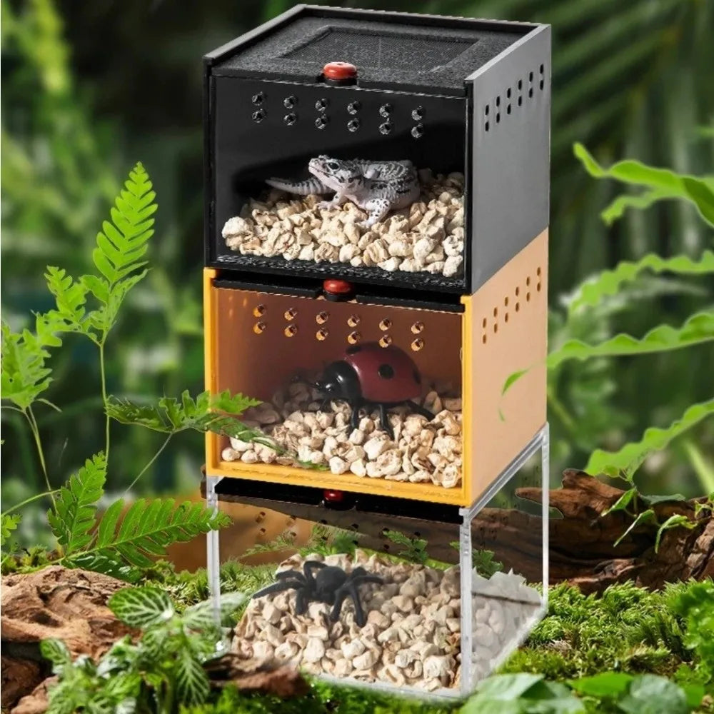 Black Reptile Keeping Box Acrylic Clear View - ProPawPet.com