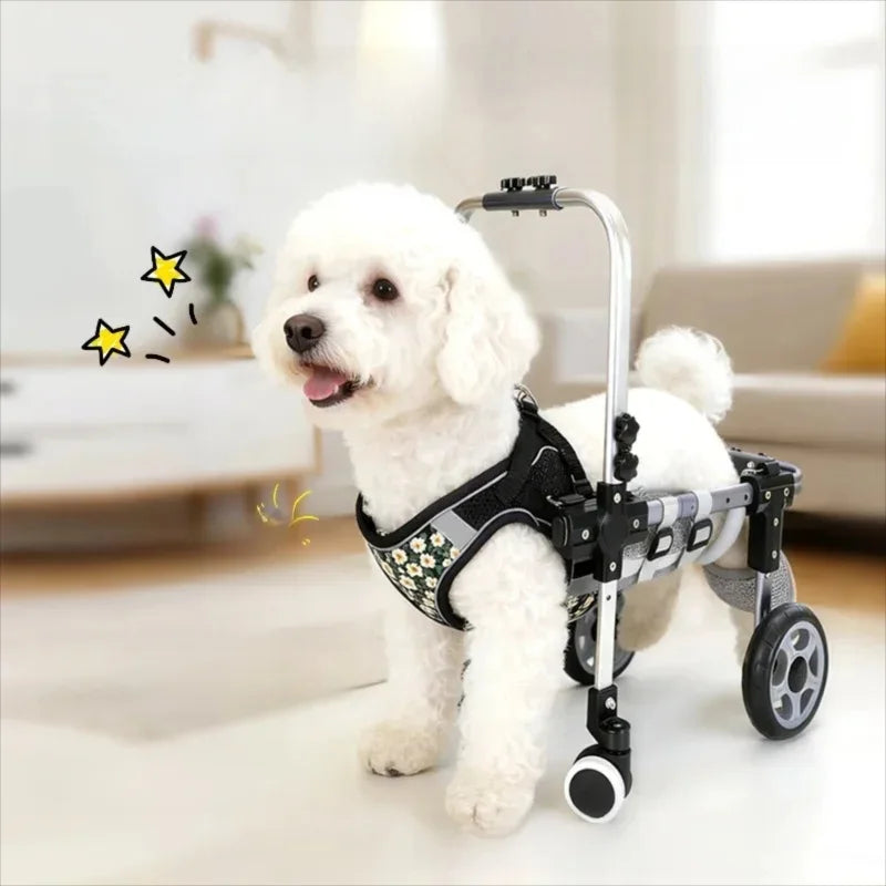 Pet Dog Wheelchair Cart Adjustable Pet - ProPawPet.com
