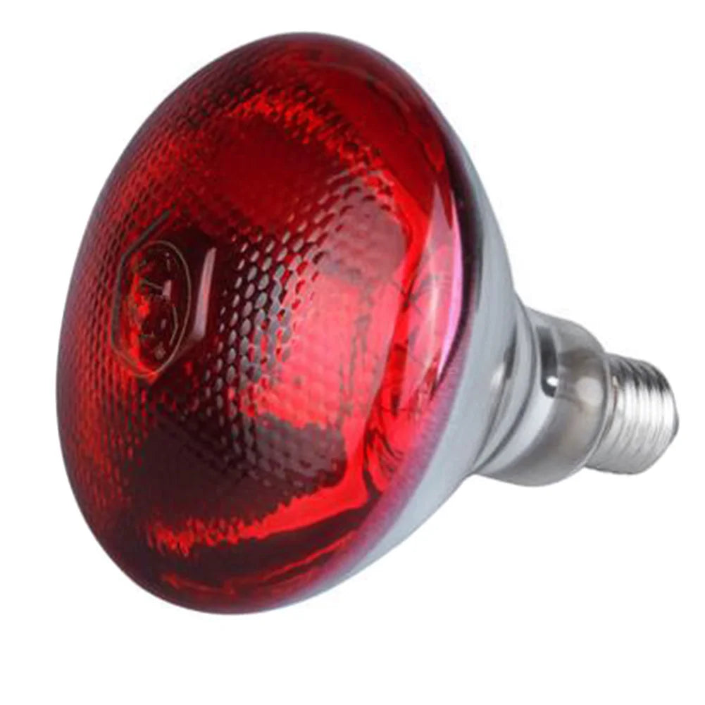 250w Infrared Heat Lamp Waterproof - ProPawPet.com