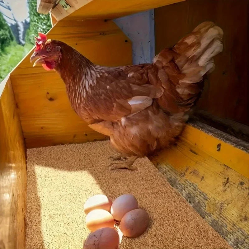 5/10pcs Chicken Coop Chick Bird Rabbit Mat - ProPawPet.com